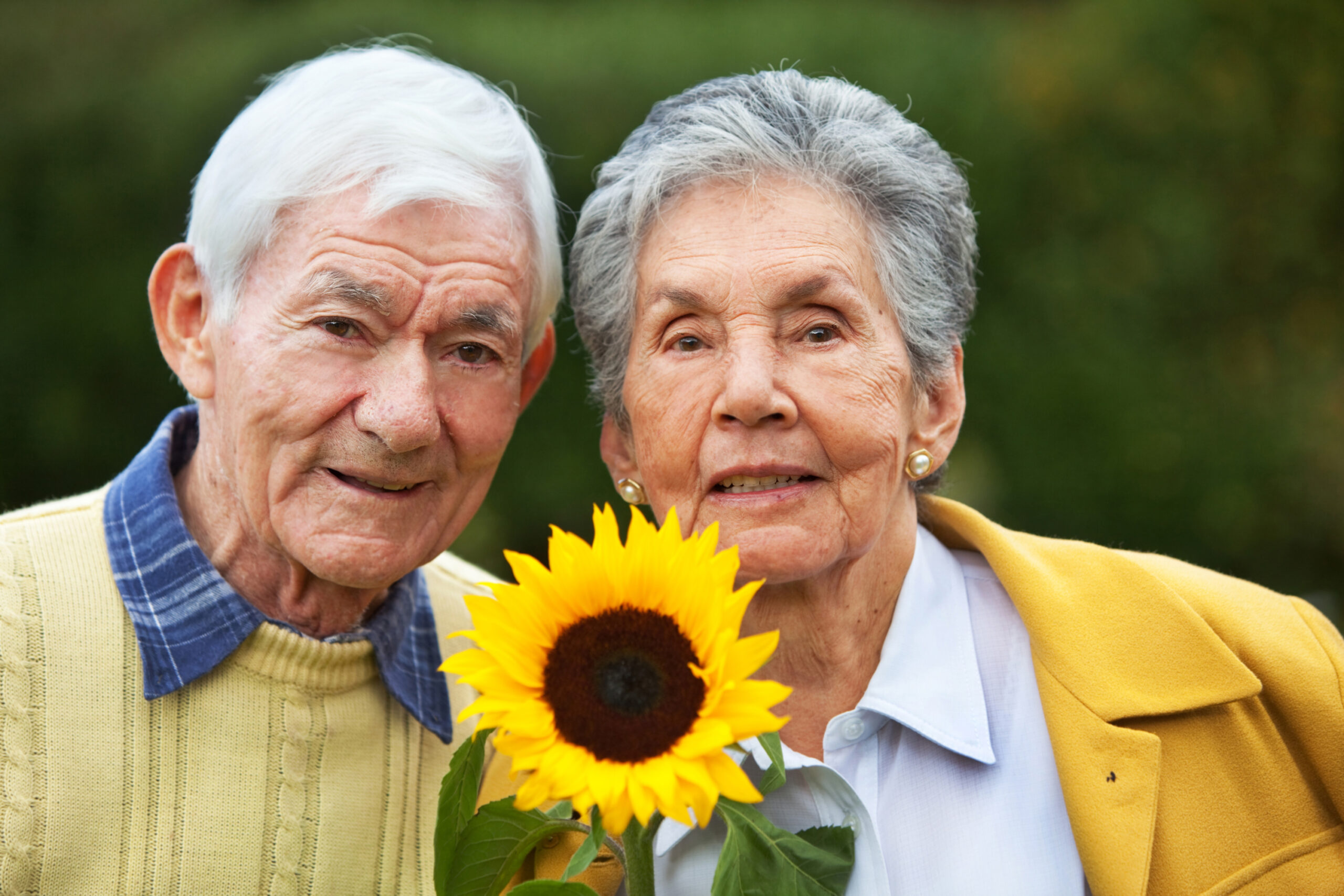 old couple with sunflower