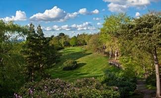 Golf June image