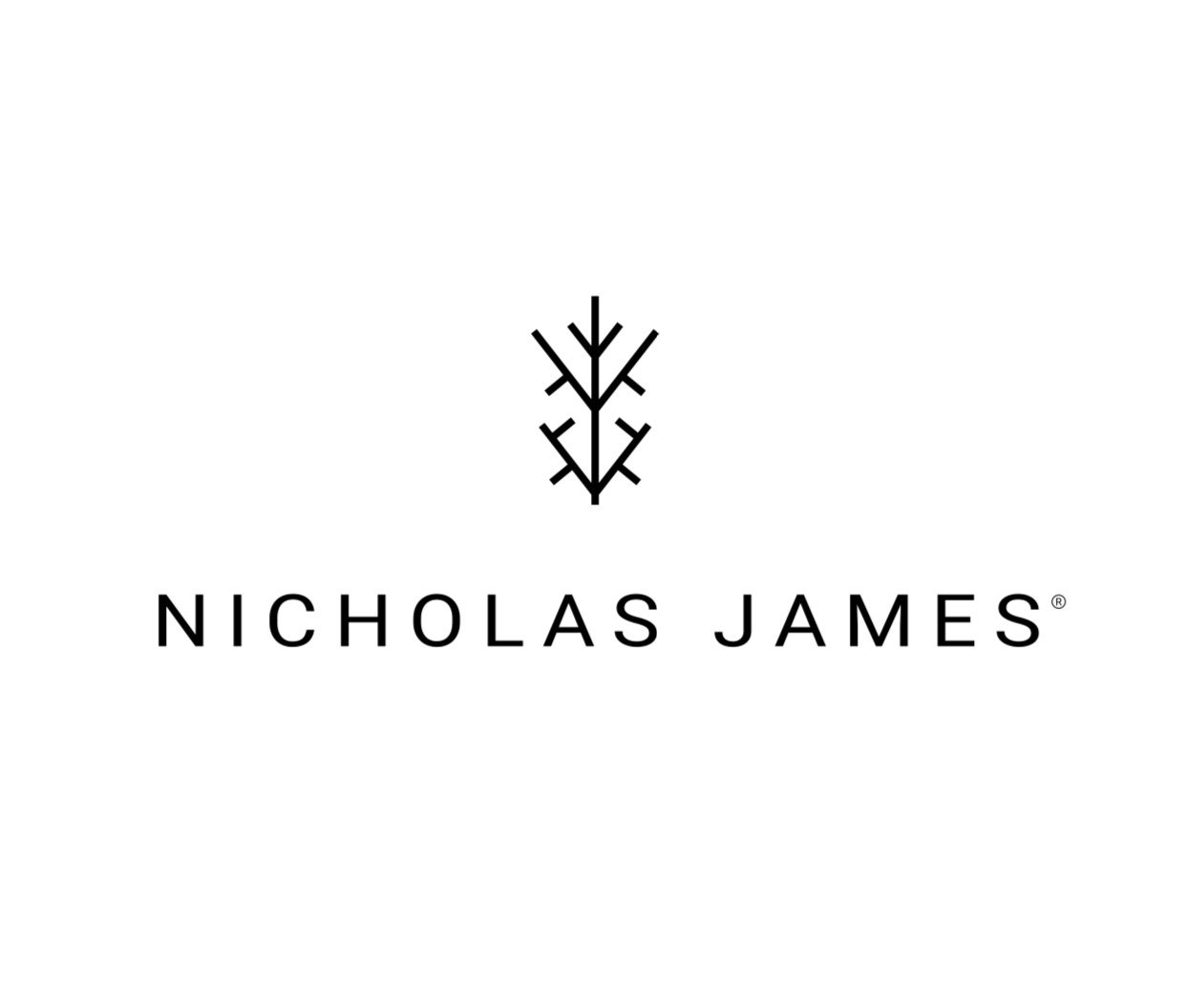 Nick James hi res logo