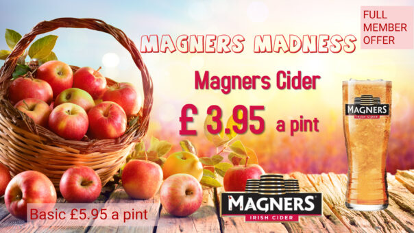 Magners Madness big screen