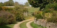 country lane