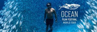 ocean film festival