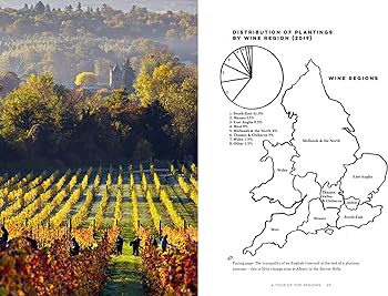 English vinyard